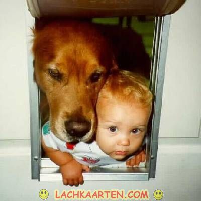 De beste babysit